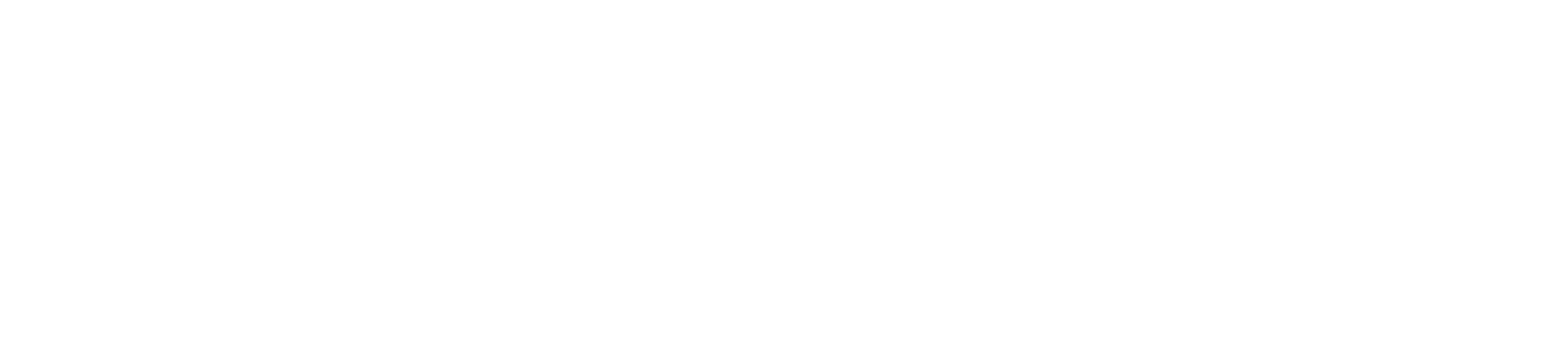 Forschungsnetzwerk Anonymisierung Logo